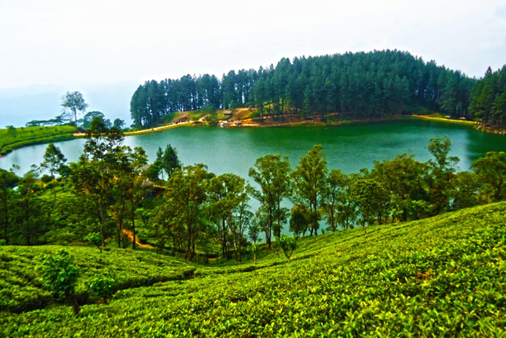 සංචාරක කර්මාන්තයේ නිරත රියදුරන්ට විශේෂ දැනුම් දීමක් සංචාරක කර්මාන්තයේ නිරත රියදුරන්ට විශේෂ දැනුම් දීමක්