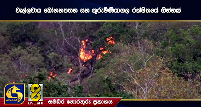 වැල්ලවාය බෝගහපතන සහ කුරුමිණියාගල රක්ෂිතයේ ගින්නක් වැල්ලවාය බෝගහපතන සහ කුරුමිණියාගල රක්ෂිතයේ ගින්නක්