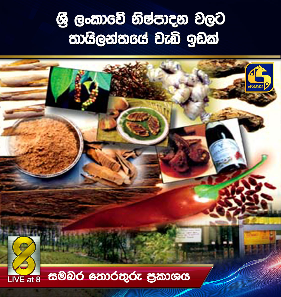 ශ්රී ලංකාවේ නිෂ්පාදනවලට තායිලන්තයේ වැඩි ඉඩක් ශ්රී ලංකාවේ නිෂ්පාදනවලට තායිලන්තයේ වැඩි ඉඩක්