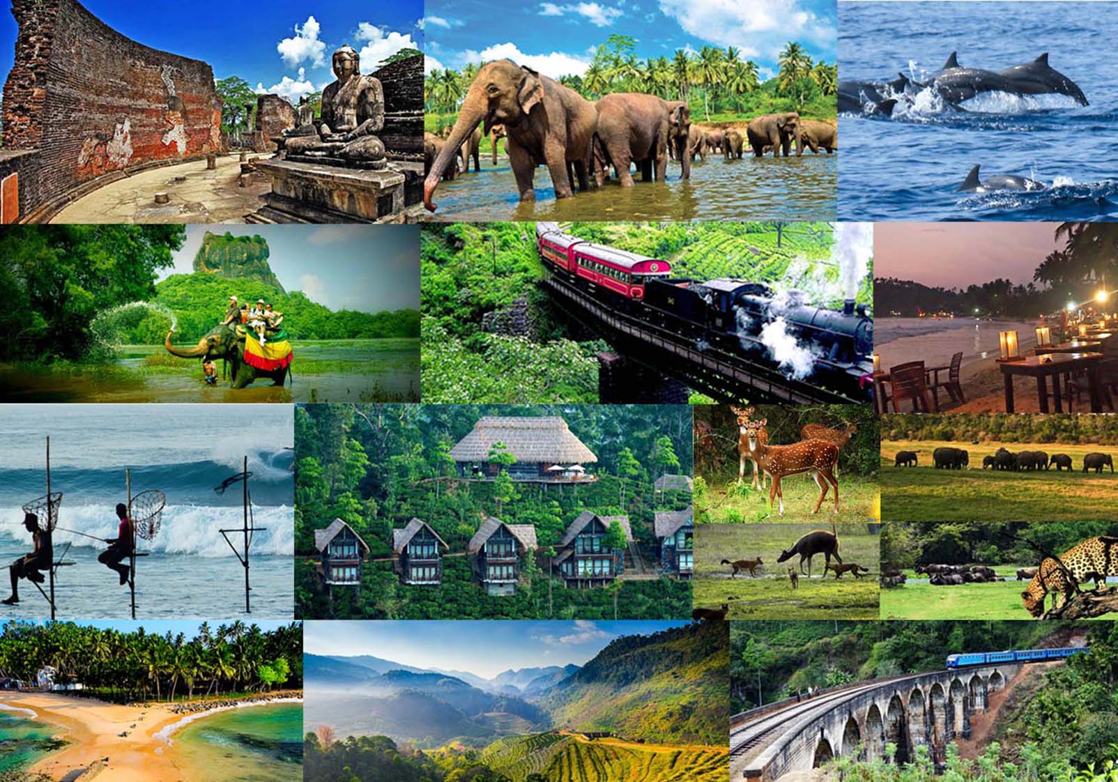 සංචාරක සේවා සපයන්නන් ලියාපදිංචිය කඩිනම් කිරීමට පියවර සංචාරක සේවා සපයන්නන් ලියාපදිංචිය කඩිනම් කිරීමට පියවර