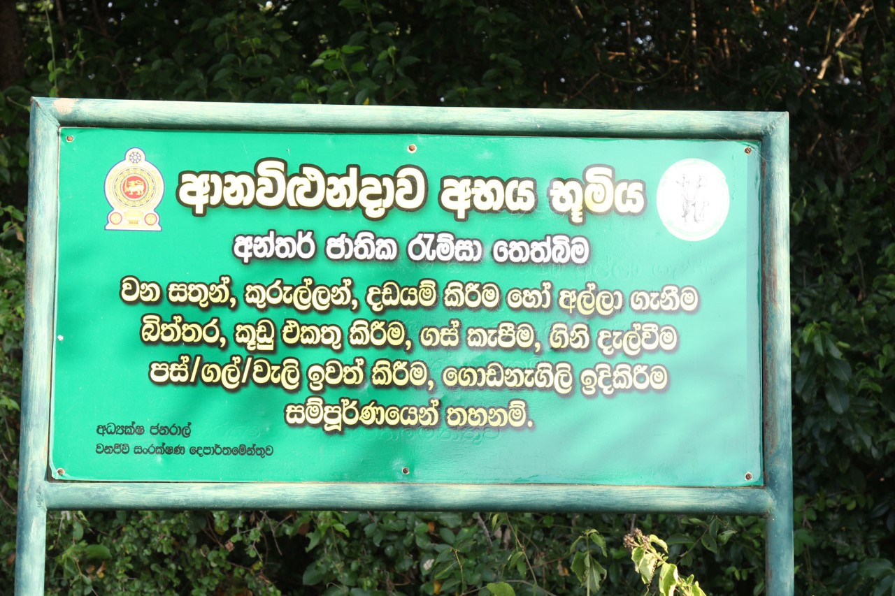 රැම්සා තෙත්බිමේ කඩොලාන පැළ ගැලවූ බව කියන සිව්දෙනා නැවත රිමාන්ඩ් රැම්සා තෙත්බිමේ කඩොලාන පැළ ගැලවූ බව කියන සිව්දෙනා නැවත රිමාන්ඩ්