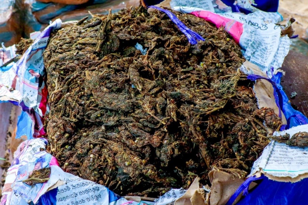 මිලියන 39කට අධික ගංජා තොගයක් වෙරළේ අතහැර දමා ගොස් තිබියදී සොයා ගනියි මිලියන 39කට අධික ගංජා තොගයක් වෙරළේ අතහැර දමා ගොස් තිබියදී සොයා ගනියි